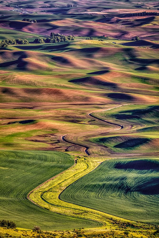 Washington State-Palouse Steptoe Butte at sunset